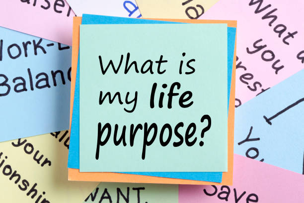 what is the purpose of life what is the purpose of life