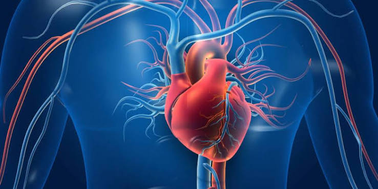 Cardiologist in Raipur